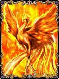 Resultado de imagen de pajaro brujo cuento