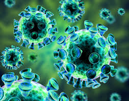 Resultado de imagen para virus