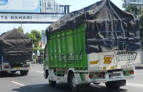 Hasil gambar untuk modifikasi truk ragasa