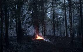Specialisten: Så startar en skogsbrand