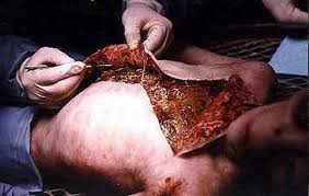 images?q=tbn:ANd9GcTw87mG8tozskYiNKcA_eyYWgNpFlpMoJYuYc5o8Jzk-tAFt0y0