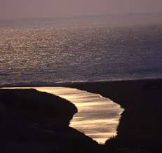 Risultati immagini per immagini di un fiume che entra nel mare