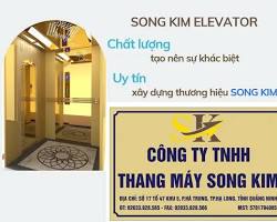 Hình ảnh về Thang máy gia đình Song Kim chất lượng cao