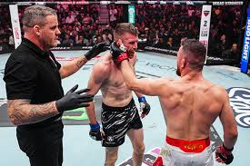 Referees, Judges Selected for Title Bouts at UFC 323