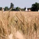Opponents #LandExpropriation report take fight