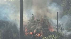 Trend Google: incendio conca d'oro