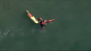 Suspect arrested after swimming into ocean to evade Los Angeles police