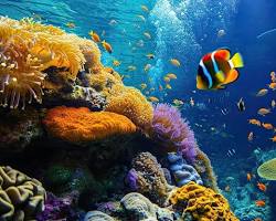 Imagem de vibrant coral reef teeming with colorful fish and marine life, showcasing the incredible biodiversity of the marine environment