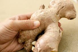 Resultado de imagen de jengibre