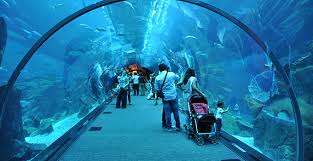 Image result for dubai tourism places