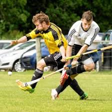 Résultat de recherche d'images pour "shinty"