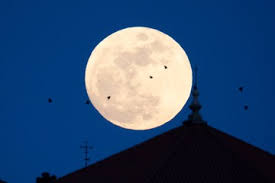 Hoy, lunes 29, es la Luna llena en Capricornio: por qué llega con una advertencia