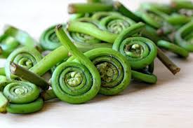 external image images?q=tbn:ANd9GcTwag5313ScDclxP4Usn2OkBvliDhbEHRFgAiJoHfbLBRZ8lxNS