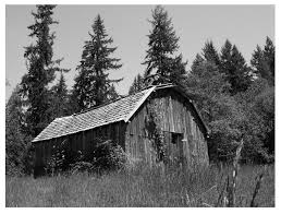 Image result for black and white barn