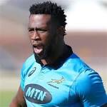 Springboks brace tough, improved Welsh