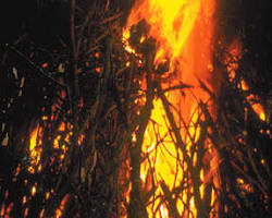 Image of Guy Fawkes effigy burning