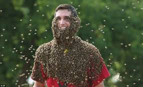 Résultat de recherche d'images pour "covered in bees"