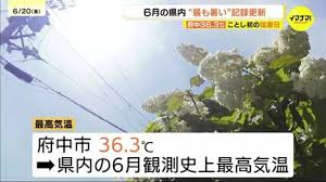 TBS NEWS DIG - News update
