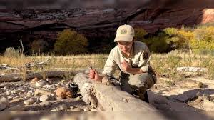 Three artists announced for Zion National Park’s Artists-in-Residence program