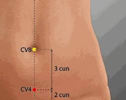 Titik akupuntur Guanyuan (CV4)