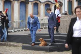 Cachorro caramelo rouba a cena em cerimônia com governadores