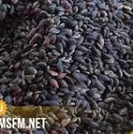 وزارة الصحة: التحاليل المخبرية أثبتت