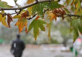 کاهش دما و آغاز بارندگی در نوار شمالی کشور از چهارشنبه