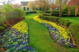 Hasil gambar untuk lingkungan bersih dan sehat