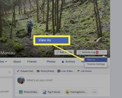 Obraz: Public Facebook profile