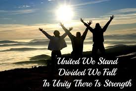 Image result for united we stand divided we fall