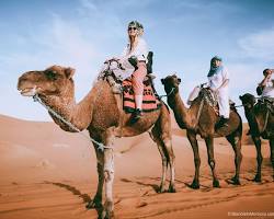 Camel trek in the Sahara Desert, Morocco