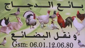 Image result for ‫اخر اعلانات الاشهار بالمغرب‬‎