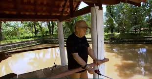 Alô Alô Bahia