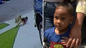 Coyote Euthanized After Attacking Children in Carson, California