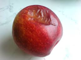 Resultado de imagen de dented