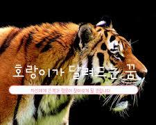호랑이 이미지