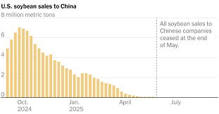 US Soybean Farmers Squeezed by China Trade Policies