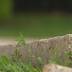 City of Toledo to repair hundreds of sidewalks