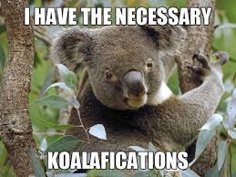 LOL! #Meme #funny #hiring #job #application #qualifications #koala ... via Relatably.com