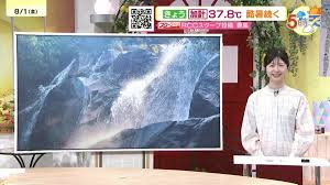 TBS NEWS DIG - News update