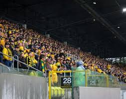 Tvp Sport