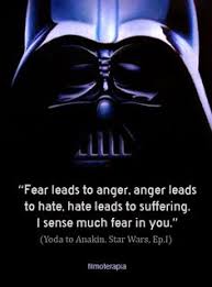 fear is the path to the dark side, fear leads to anger, anger ... via Relatably.com