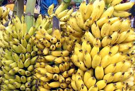 banana ile ilgili görsel sonucu