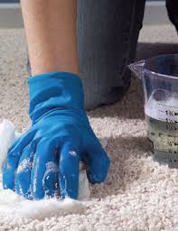 Image result for picture of cleaning carpet