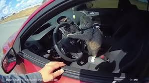 bro definitely forgot his license at home. | Facebook