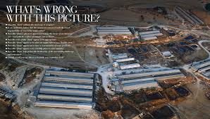 Image result for cafo