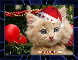 Résultat de recherche d'images pour "gif fetes de Noël animé"