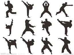 武術醫師林義龍醫師奧運冠軍 武術醫師林義龍醫師奧運冠軍