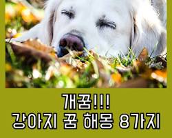 꿈 이미지