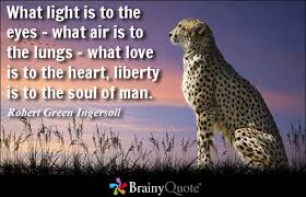 Freedom Quotes - BrainyQuote via Relatably.com
